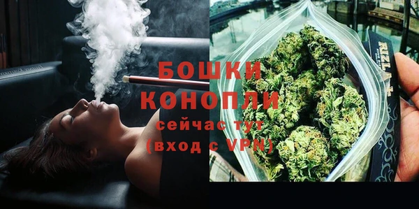 дмт Касимов