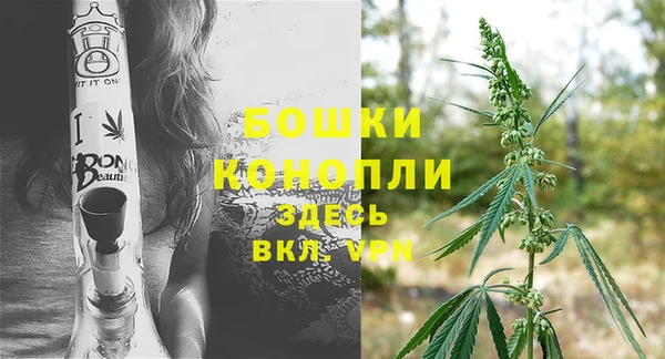 гашик Нягань