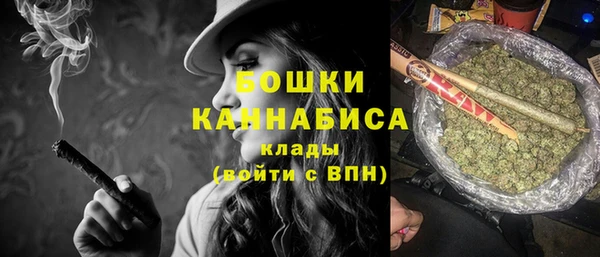 дмт Касимов