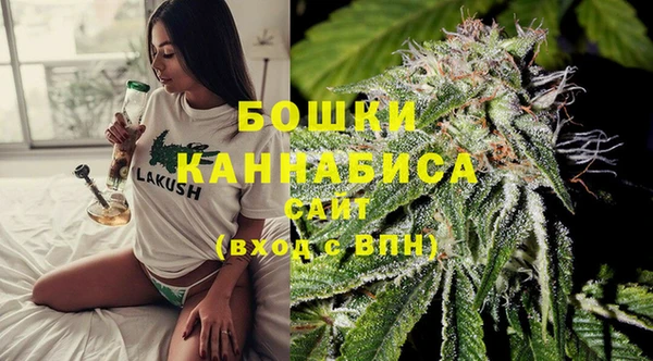 дмт Касимов